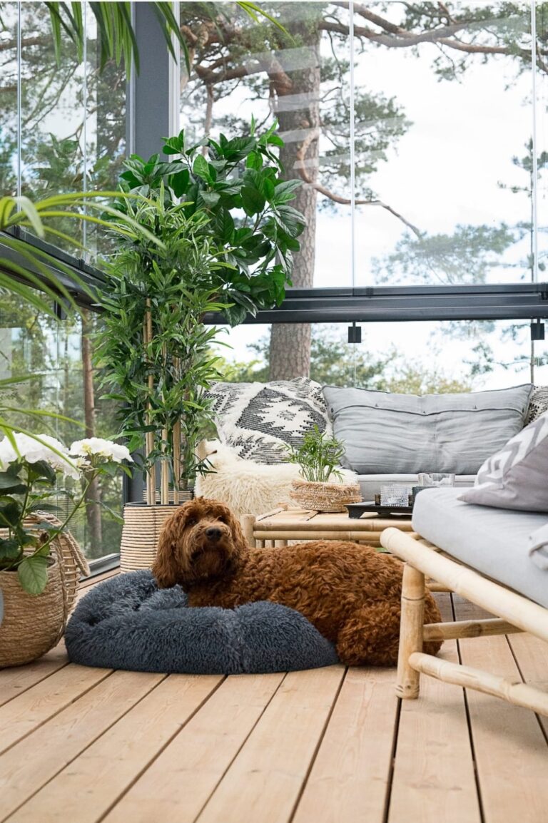 lasikatto_designline_53